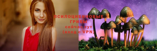 а пвп мука Алексин